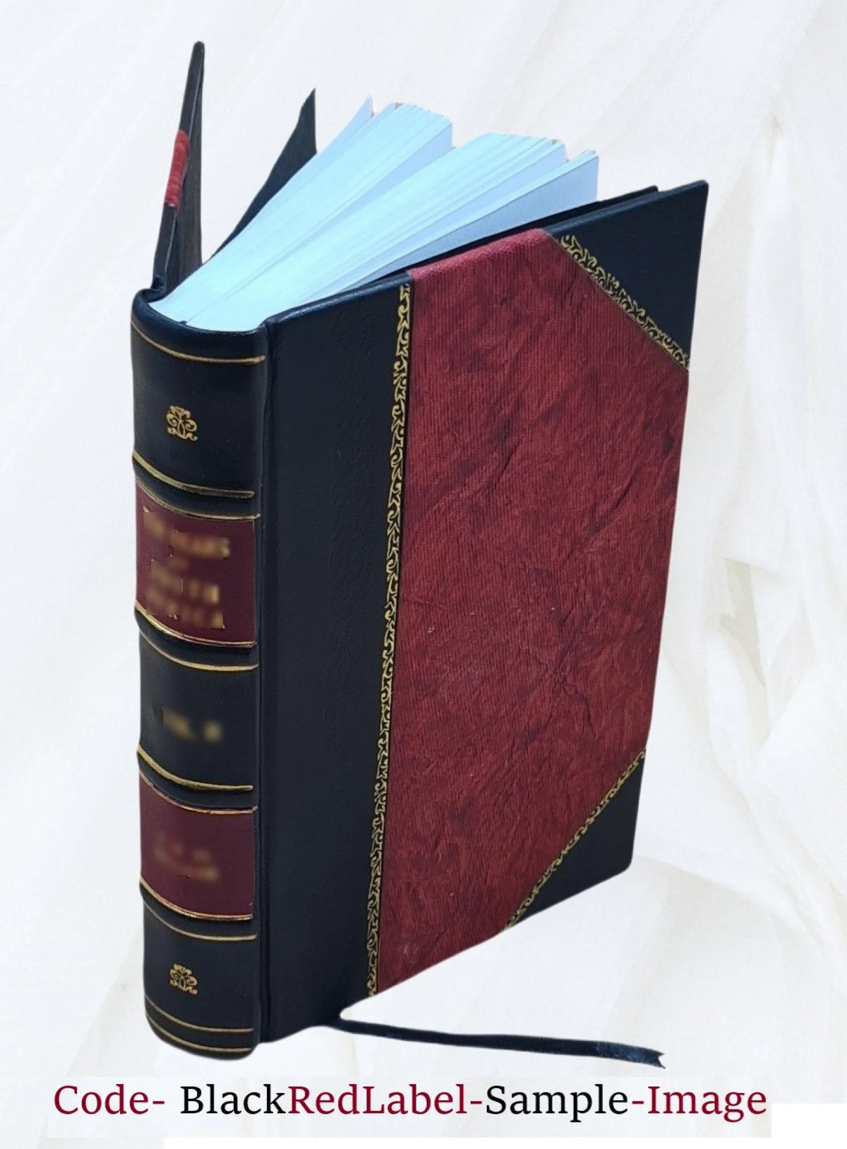 Index patristicus R55830