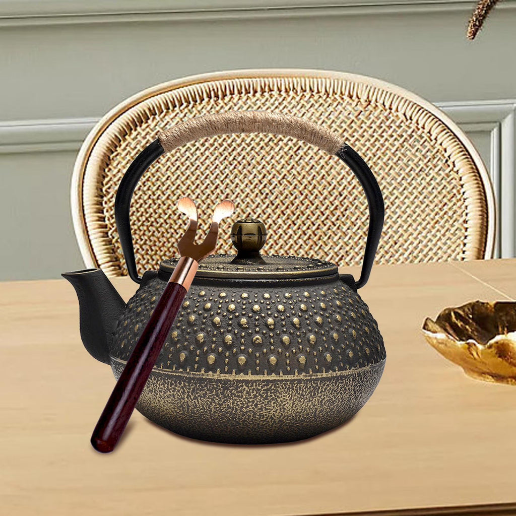 Cast Iron Teapot Tea Kettle Y6341